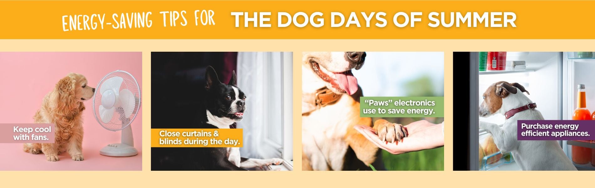 Energy-saving tips for the dog days of summer