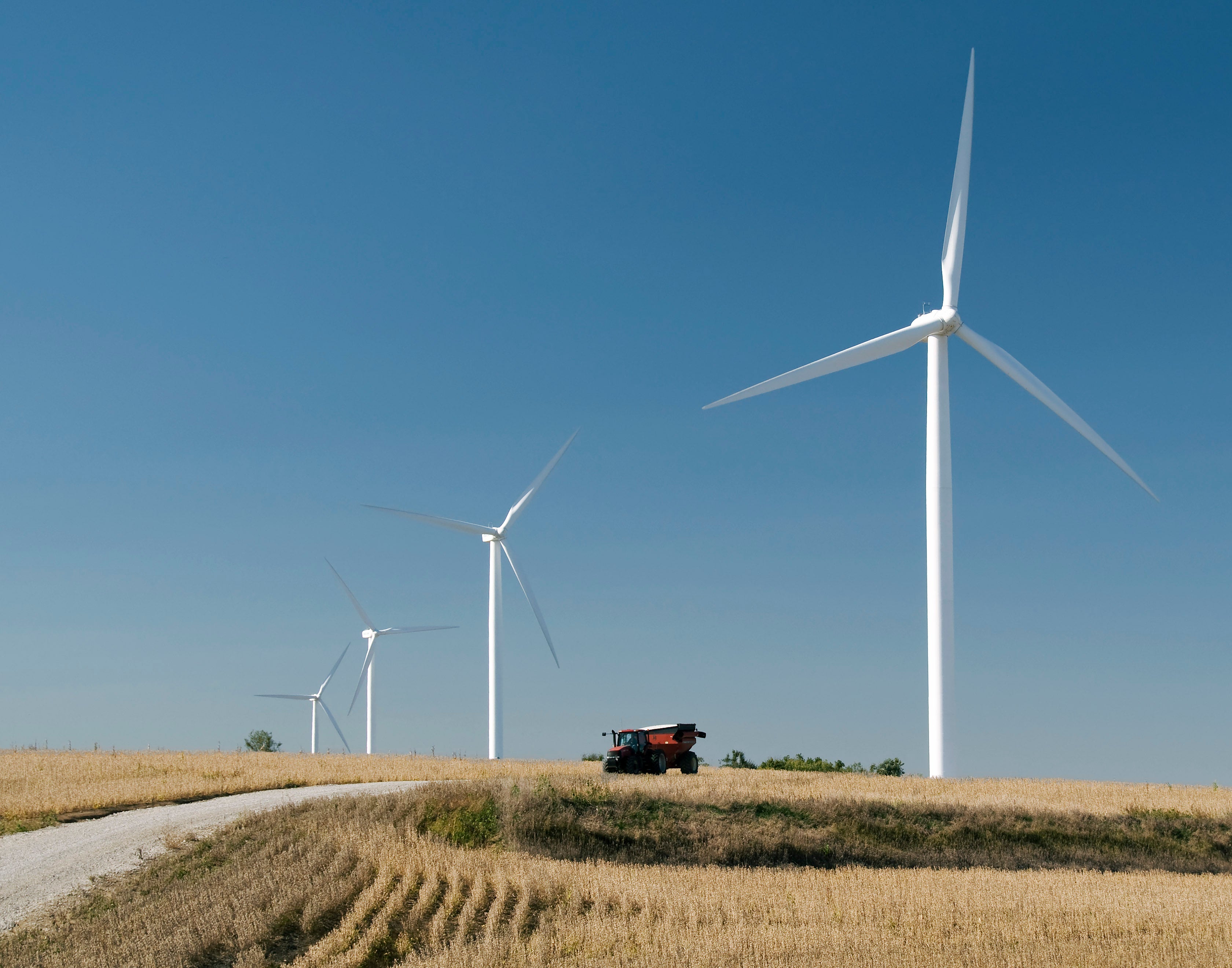 cow branch wind farm