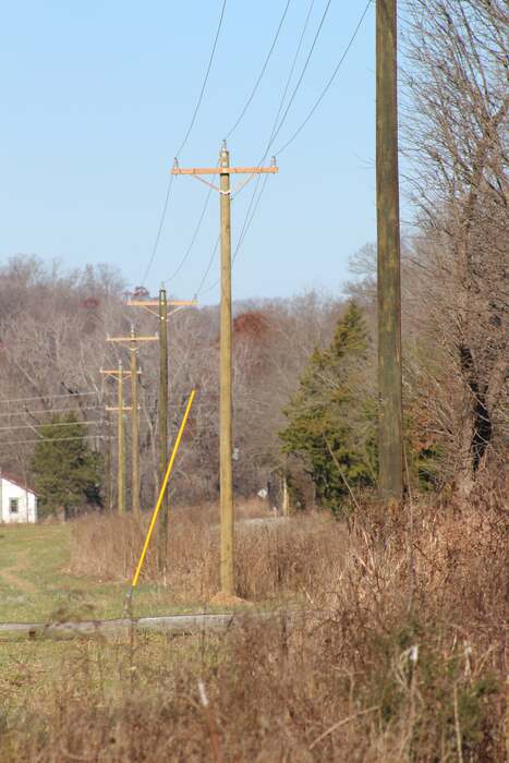 line-of-new-poles
