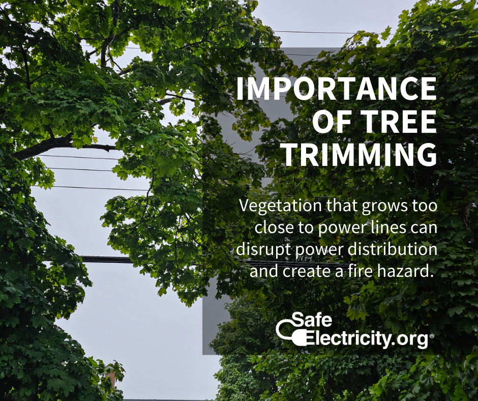 Importance of tree trimmung